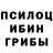Псилоцибиновые грибы мицелий nemuren miya