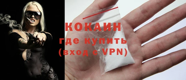 шишки Нея