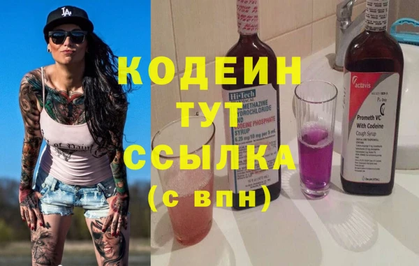 шишки Нея