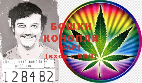 шишки Нея