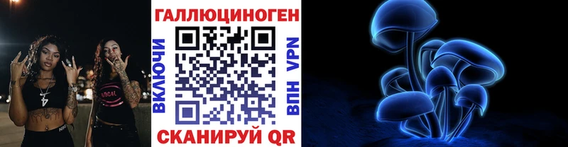 где можно купить наркотик  Чехов  Галлюциногенные грибы Psilocybe 