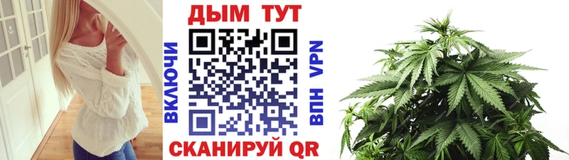 это клад  Чехов  Шишки марихуана Amnesia 